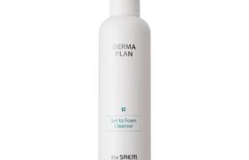 The Saem - Derma Plan Gel To Foam Cleanser - 180ml The Saem - Derma Plan Gel To Foam Cleanser - 180ml