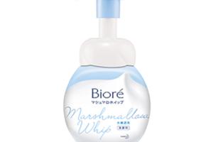 Kao - Biore Nettoyant pour le visage moussant mild - 160ml Kao - Biore Nettoyant pour le visage moussant mild - 160ml